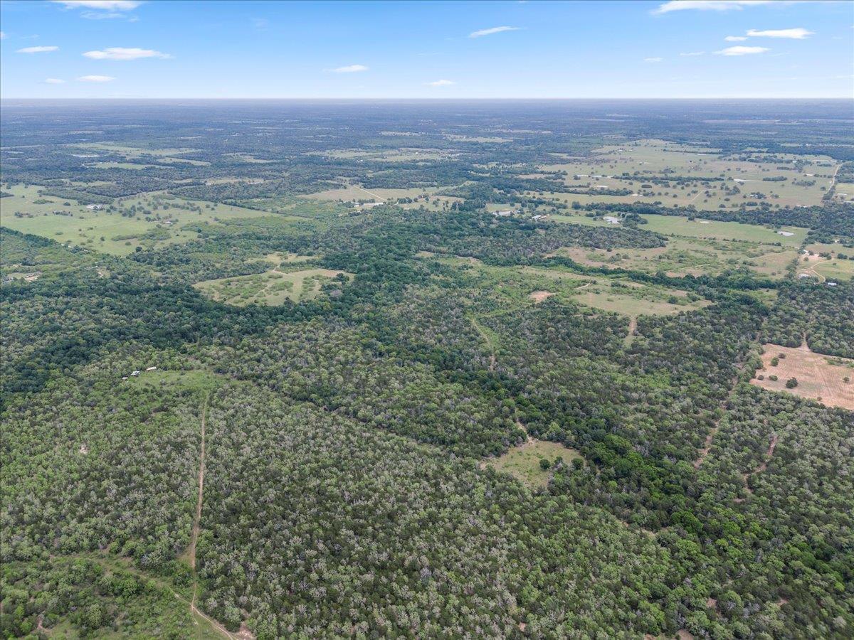 TBD 207.5 +/- ACRES ANCHOR RANCH Loop, Flatonia, TX 78941