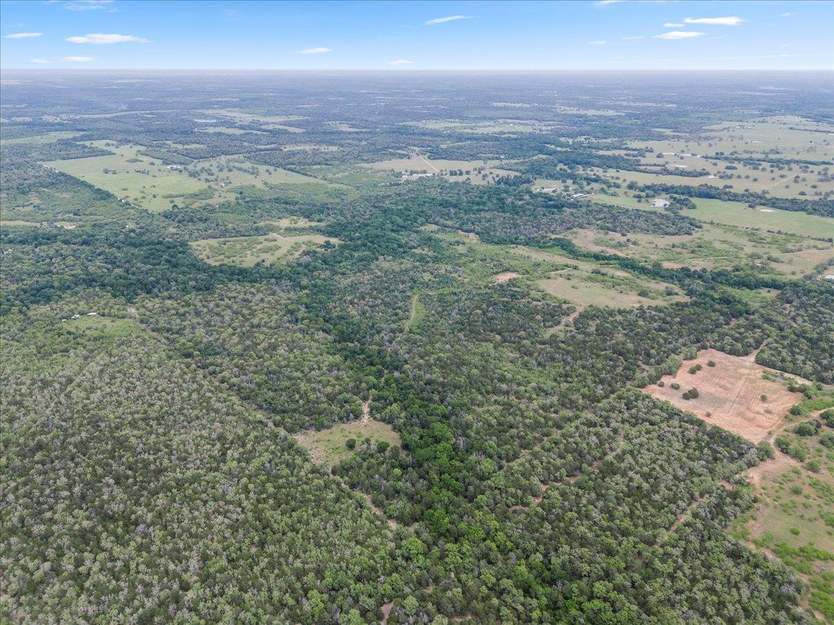 TBD 207.5 +/- ACRES ANCHOR RANCH Loop, Flatonia, TX 78941