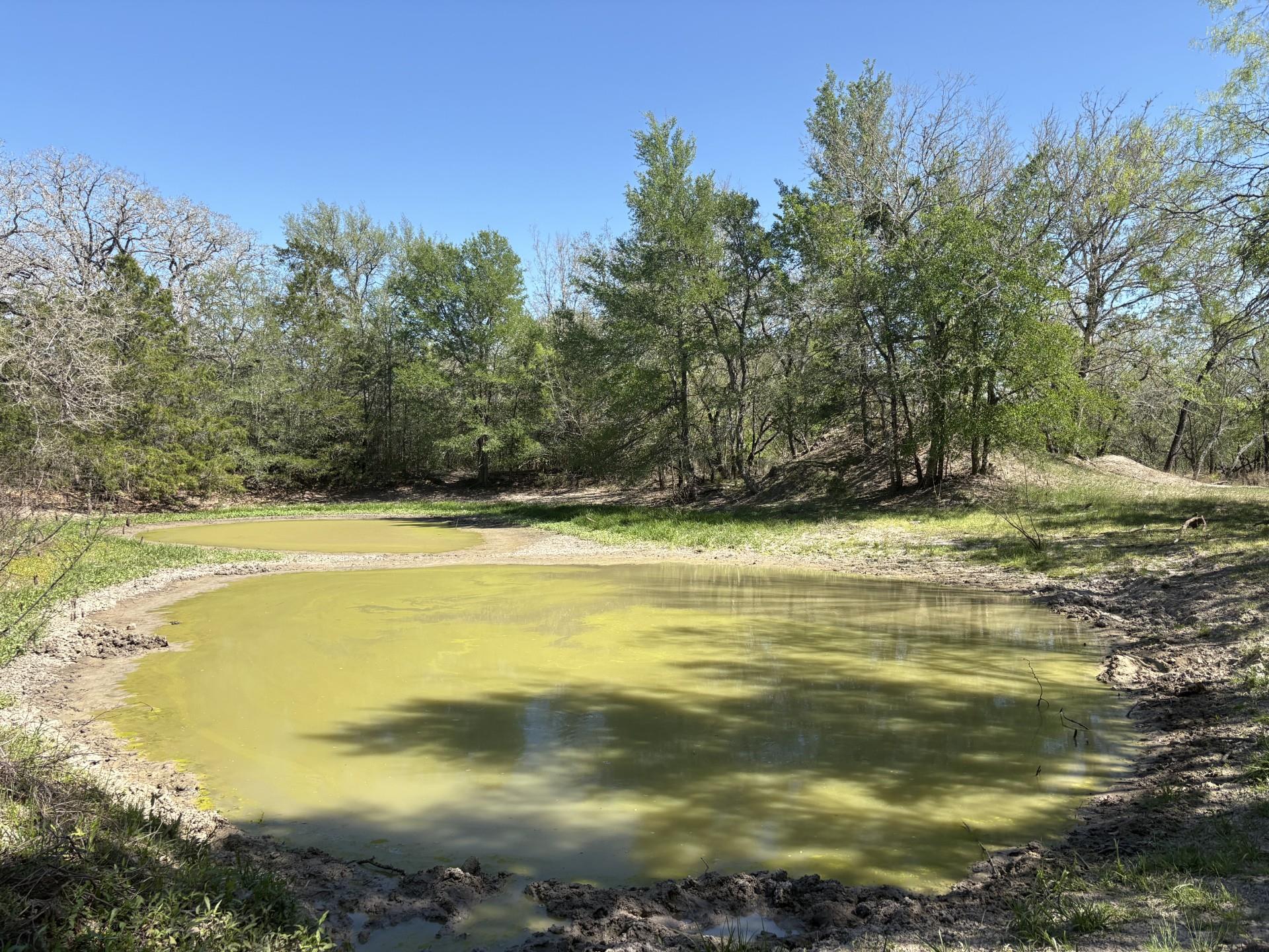 TBD ANCHOR RANCH Loop, Flatonia, TX 78941