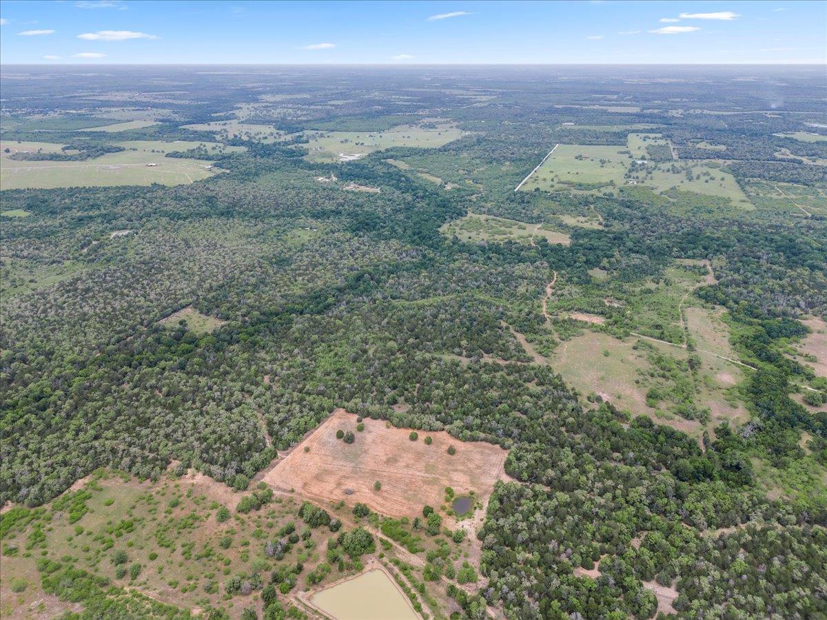TBD 207.5 +/- ACRES ANCHOR RANCH Loop, Flatonia, TX 78941