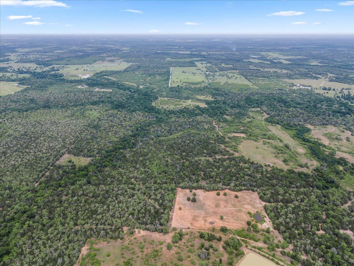 TBD 207.5 +/- ACRES ANCHOR RANCH Loop, Flatonia, TX 78941