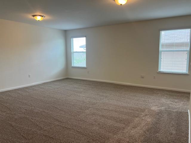 381 Northern Flicker St, Kyle, TX 78640