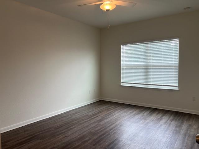 381 Northern Flicker St, Kyle, TX 78640