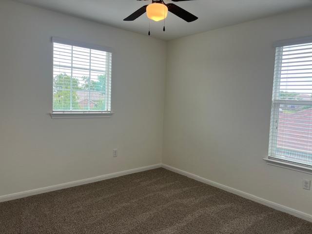 381 Northern Flicker St, Kyle, TX 78640