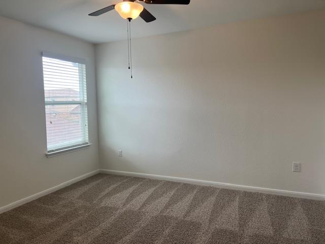 381 Northern Flicker St, Kyle, TX 78640