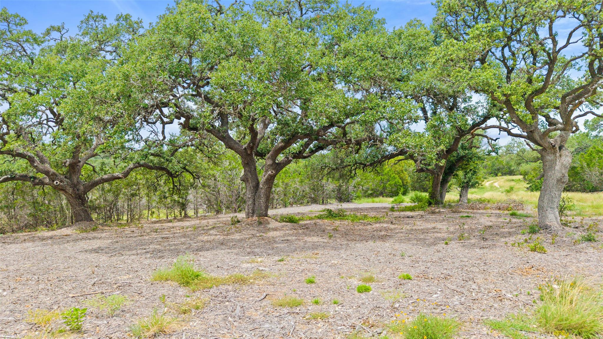 000 Oak Valley Ranch, Dripping Springs, TX 78676
