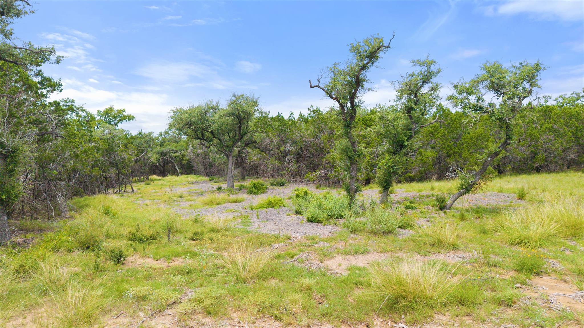 000 Oak Valley Ranch, Dripping Springs, TX 78676
