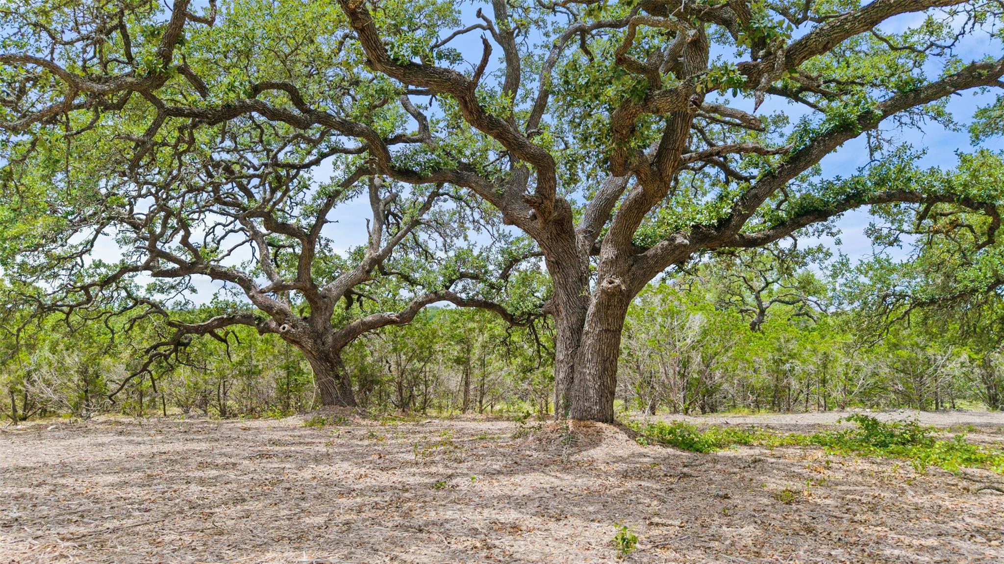 000 Oak Valley Ranch, Dripping Springs, TX 78676