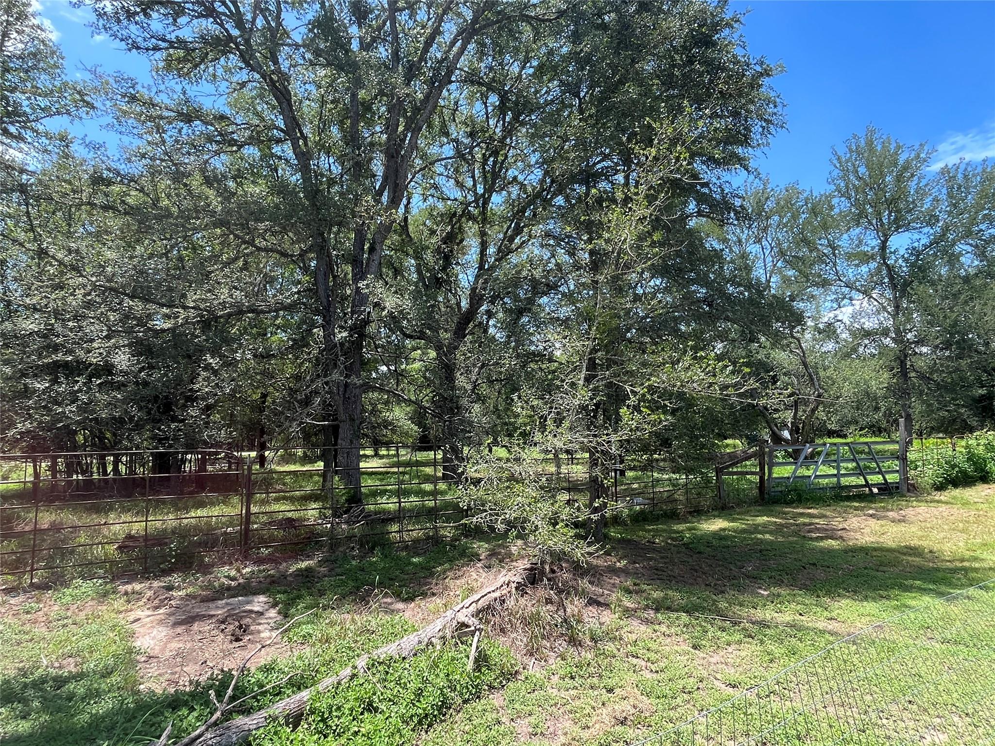 354 Lower Red Rock Rd, Bastrop, TX 78602