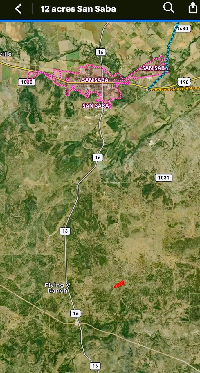 Parcel ID# 800675 Buck Run Rd, San Saba, TX 76877