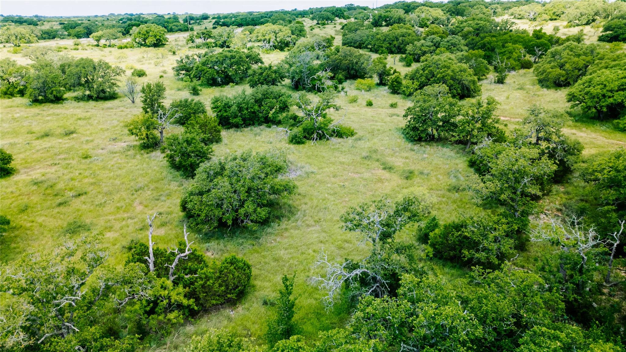 Parcel ID# 800675 Buck Run Rd, San Saba, TX 76877