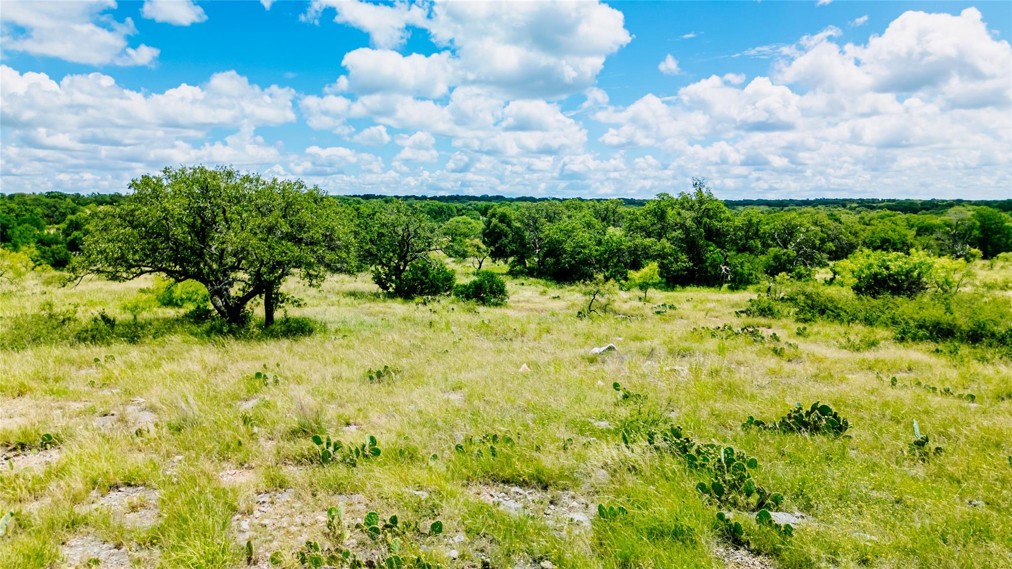 Parcel ID# 800675 Buck Run Rd, San Saba, TX 76877