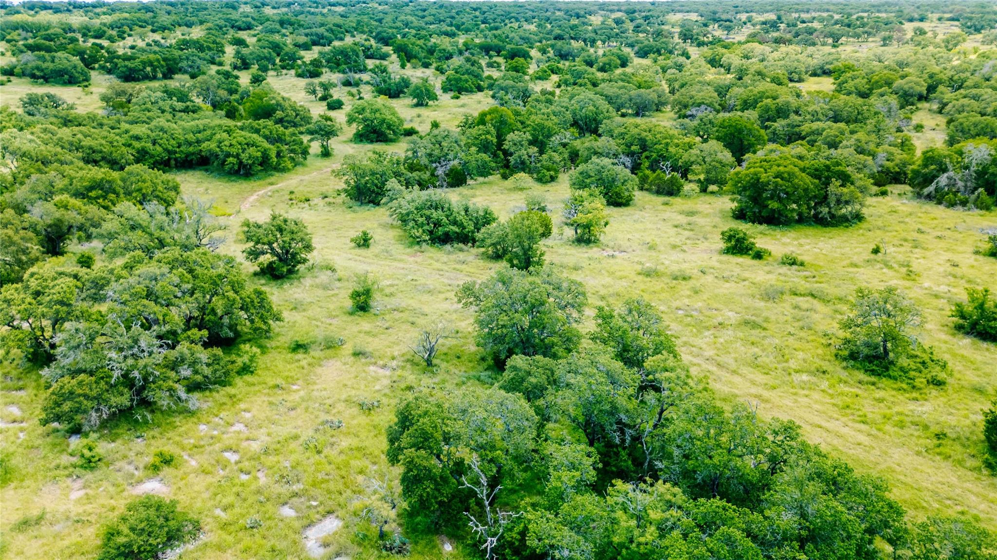 Parcel ID# 800675 Buck Run Rd, San Saba, TX 76877
