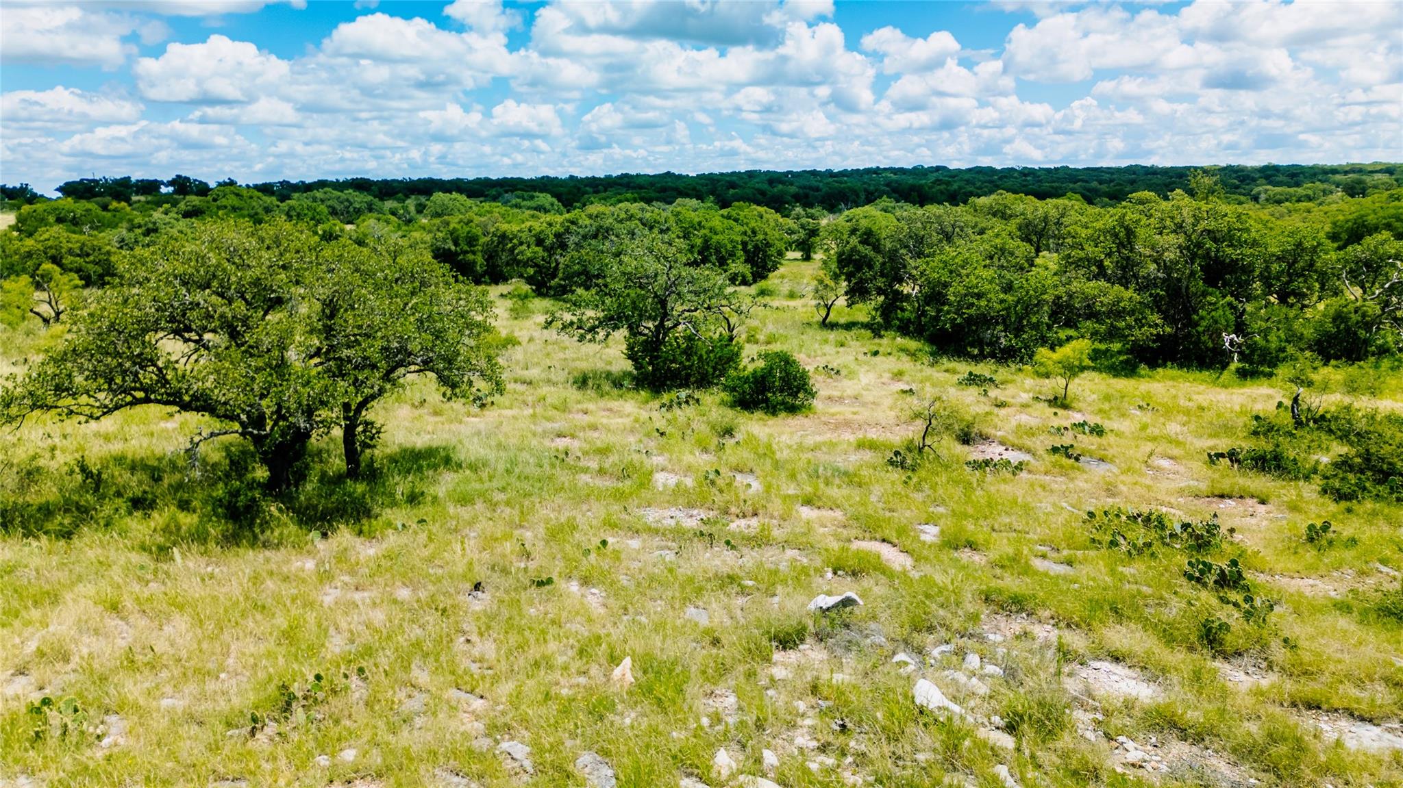 Parcel ID# 800675 Buck Run Rd, San Saba, TX 76877