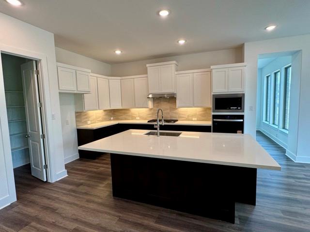 376 Double Eagle Ranch Dr, Cedar Creek, TX 78612