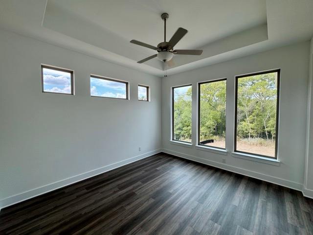 376 Double Eagle Ranch Dr, Cedar Creek, TX 78612