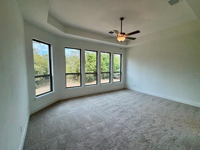 376 Double Eagle Ranch Dr, Cedar Creek, TX 78612