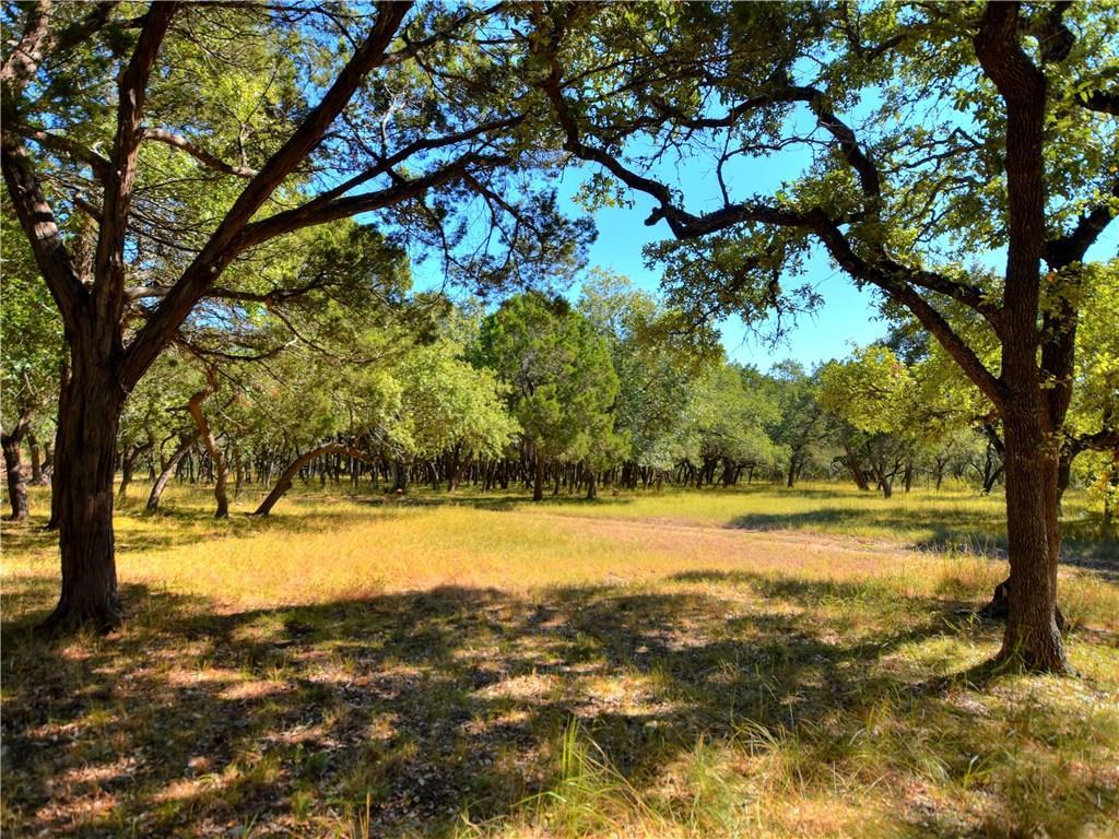 24391 Bingham Creek Rd, Leander, TX 78641
