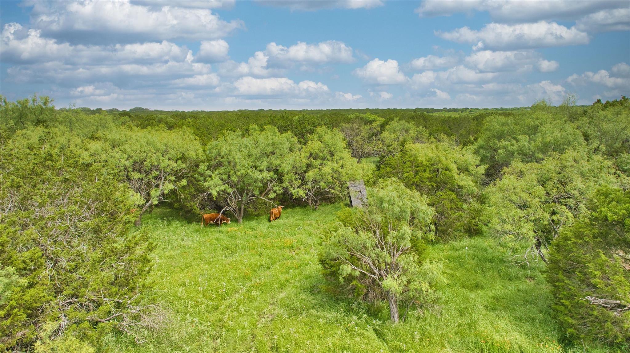 Lot 4, 5060 W. Hwy 190, Lometa, TX 78653
