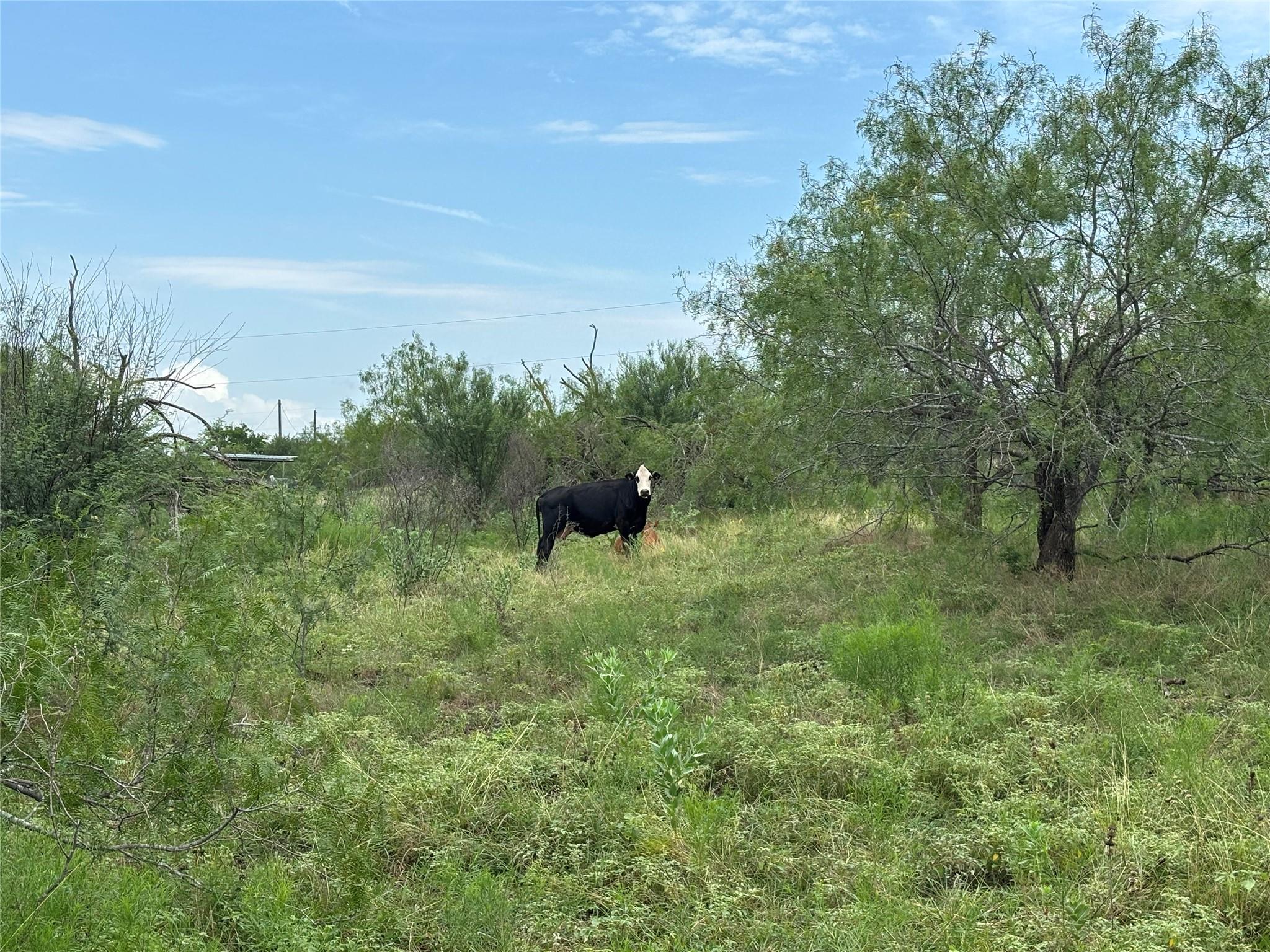 2121 County Road 420, Taylor, TX 76574