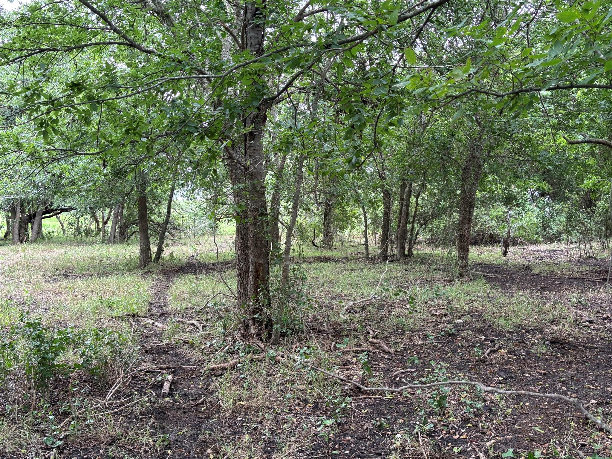 2121 County Road 420, Taylor, TX 76574