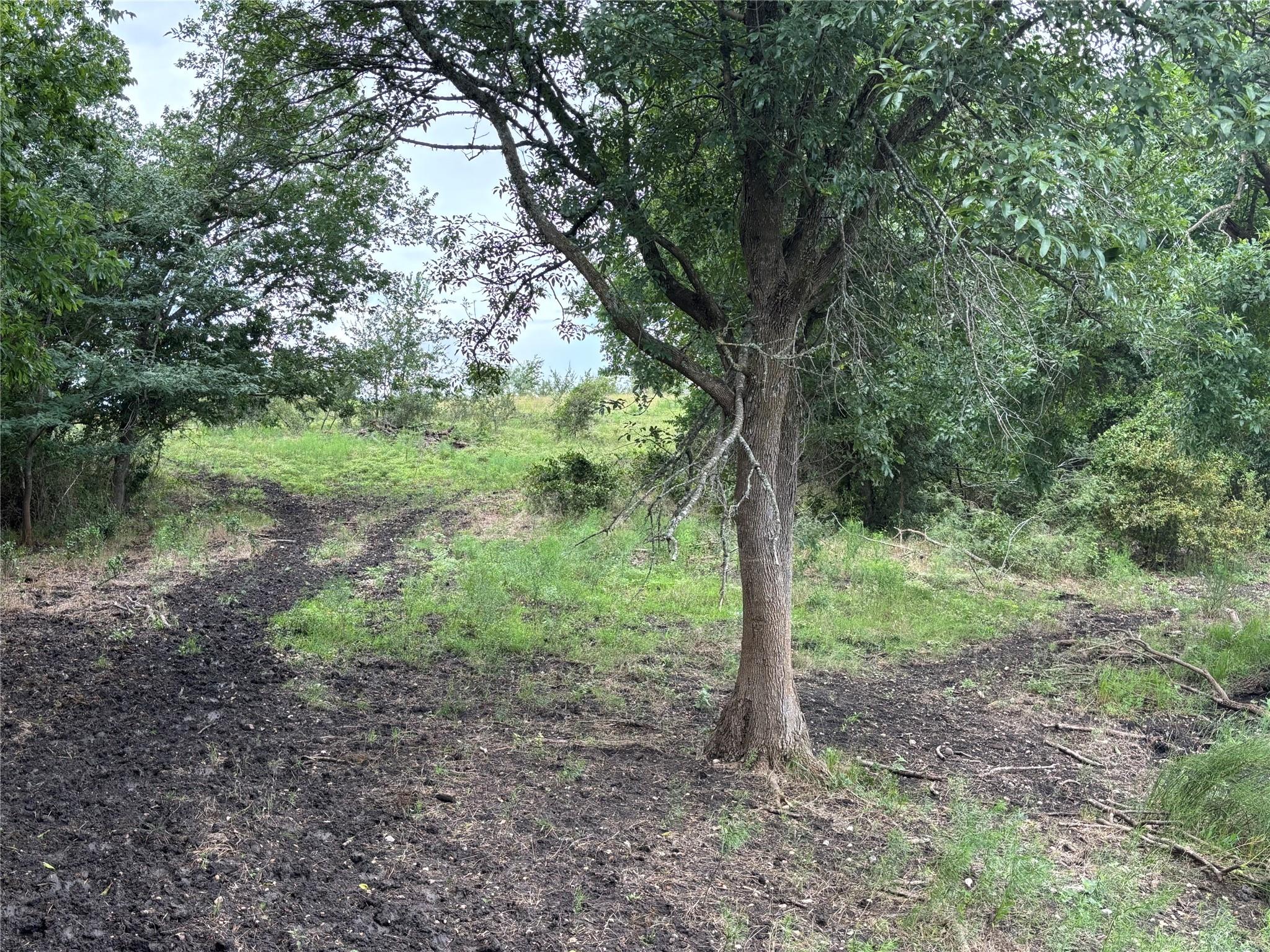 2121 County Road 420, Taylor, TX 76574