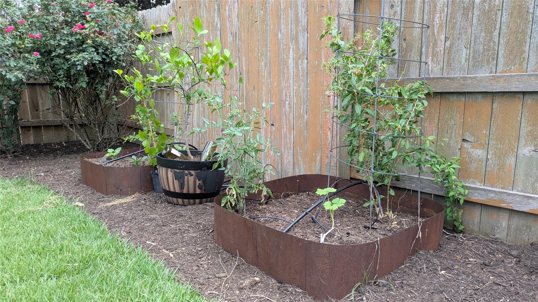 7113 Cherry Beam Path, Austin, TX 78744