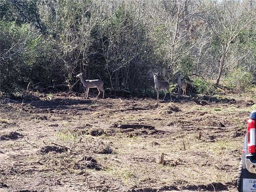 8530 FM 153, La Grange, TX 78945
