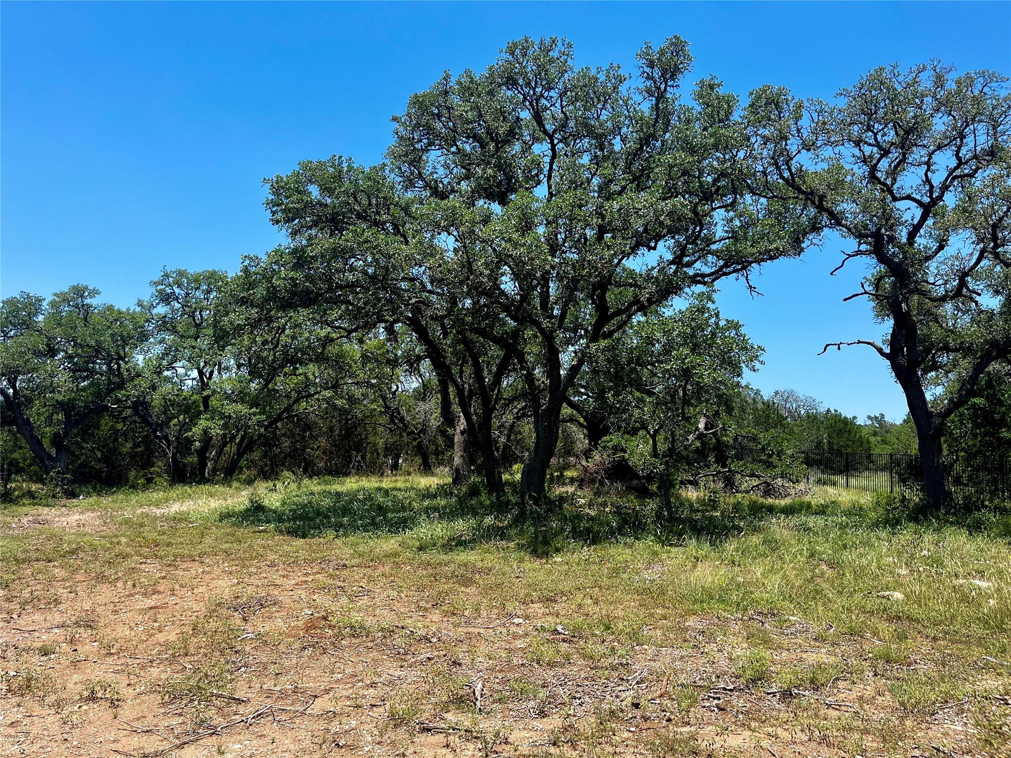 175 Charro Vista Dr, Driftwood, TX 78619