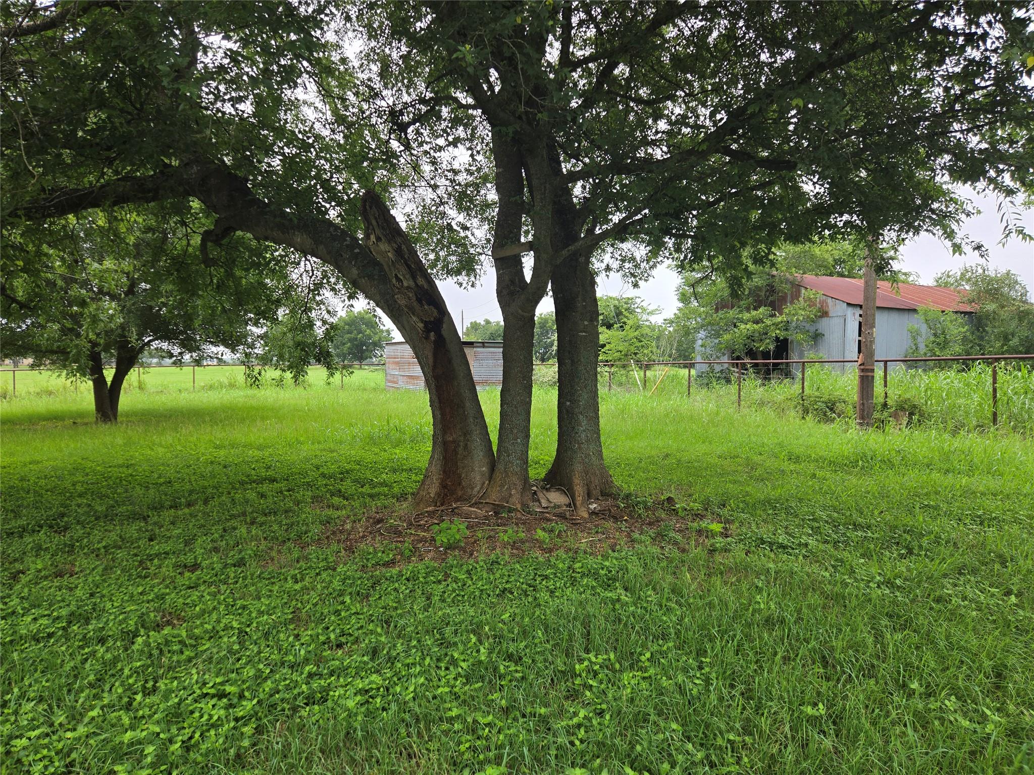 3242 E Fm 696, Lexington, TX 78947