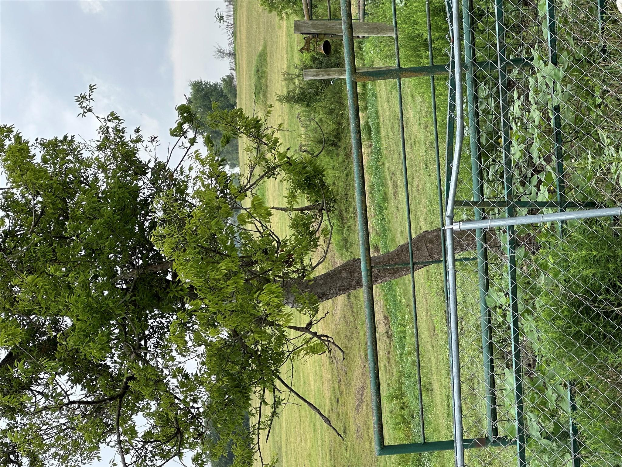 3007 County Road 303, Jarrell, TX 76537