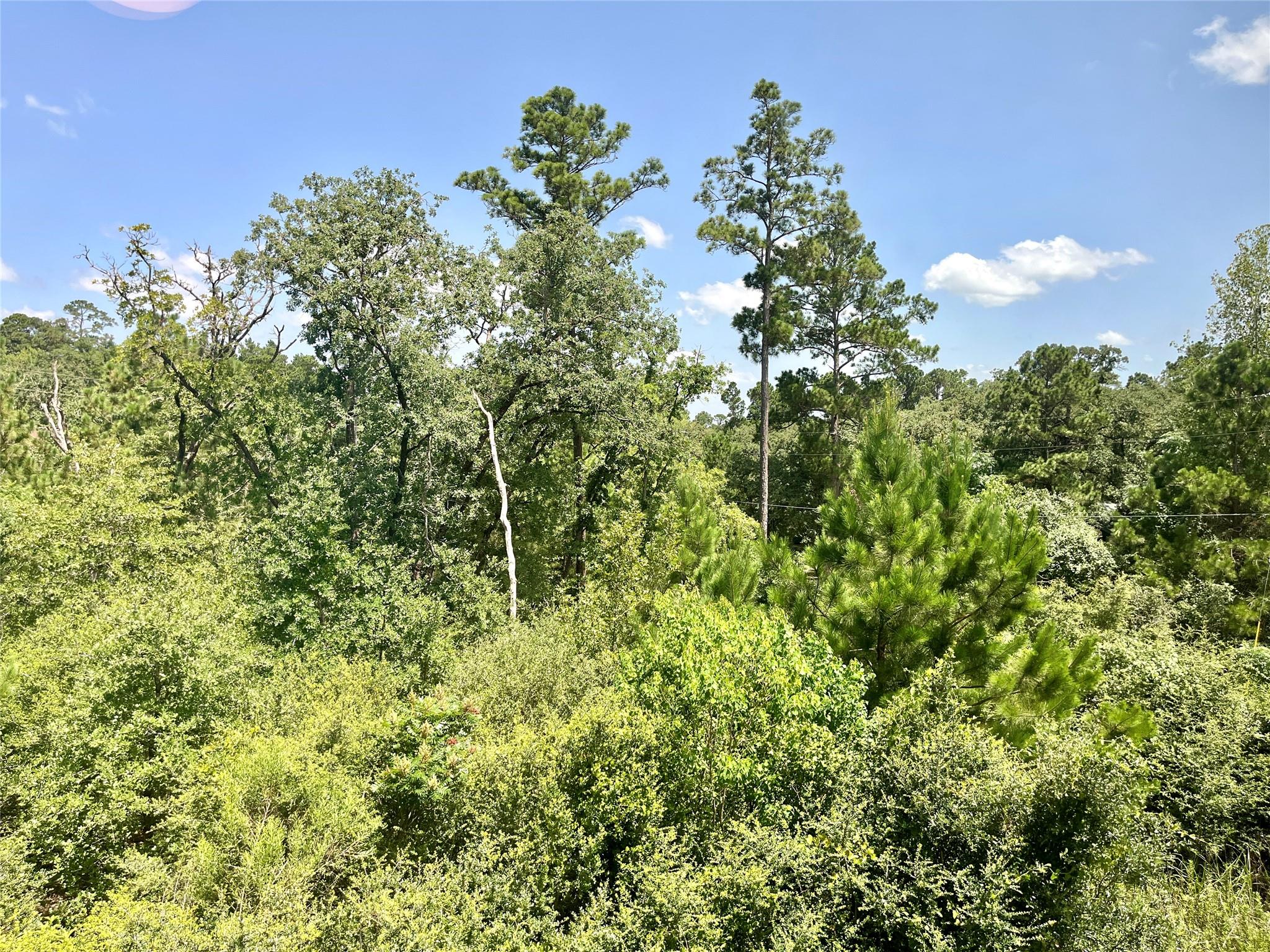 108 W Keamuku Ct, Bastrop, TX 78602