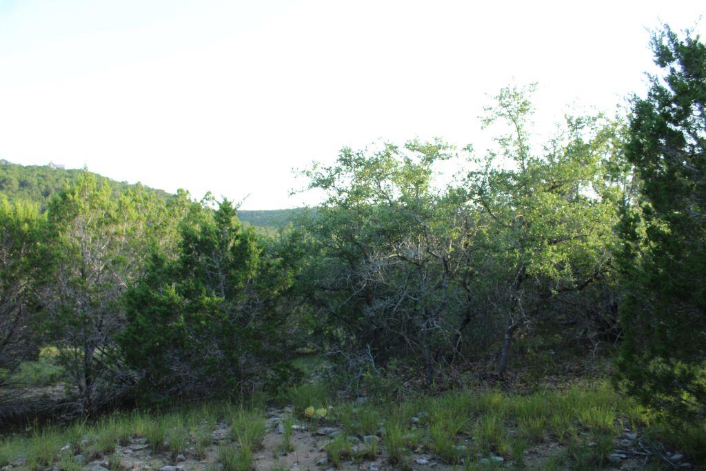 218 Spring Hollow Drive Dr, Bertram, TX 78605