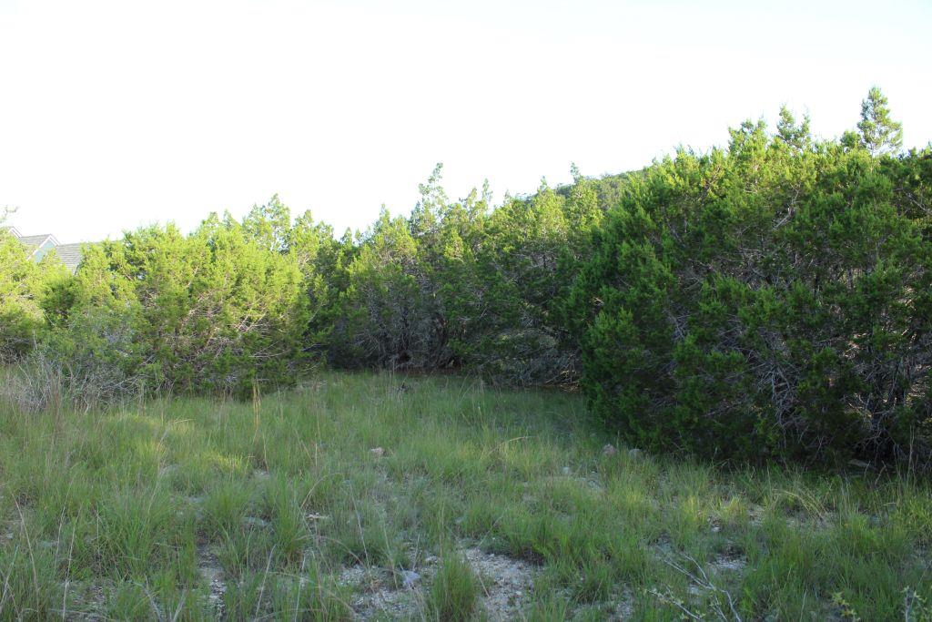 218 Spring Hollow Drive Dr, Bertram, TX 78605