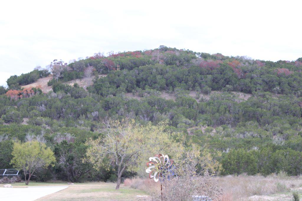 218 Spring Hollow Drive Dr, Bertram, TX 78605