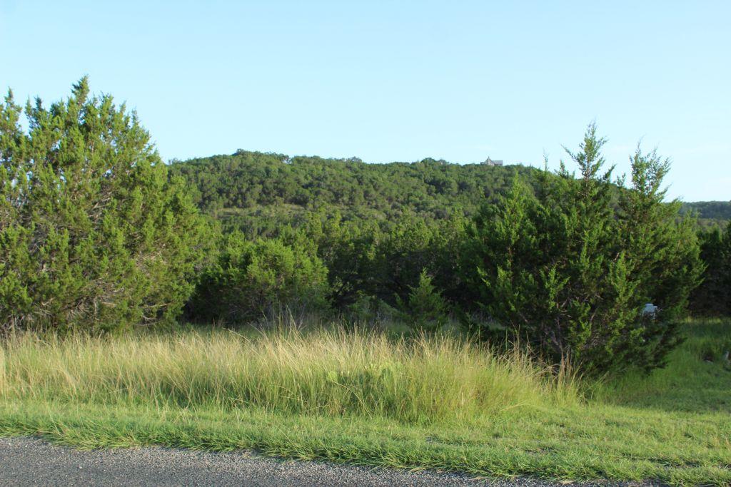 218 Spring Hollow Drive Dr, Bertram, TX 78605