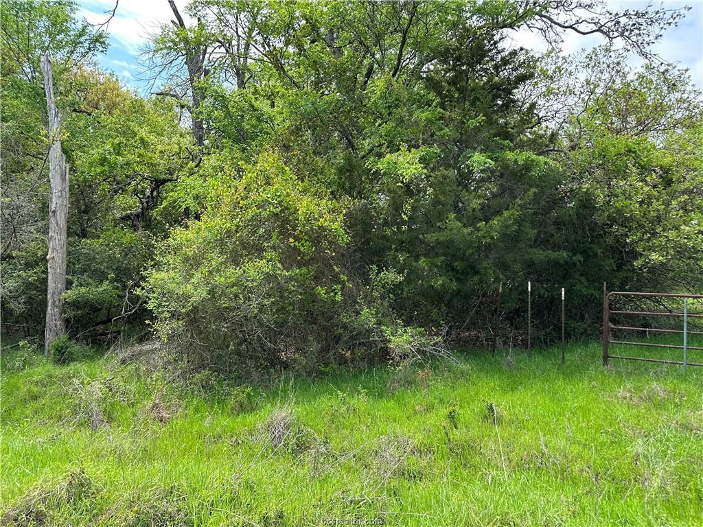 00 Hickory Loop Rd, Thornton, TX 76687