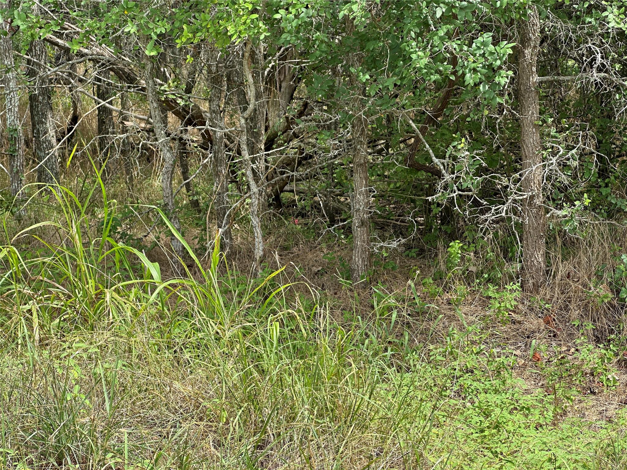 107 Halawa Ct, Bastrop, TX 78602