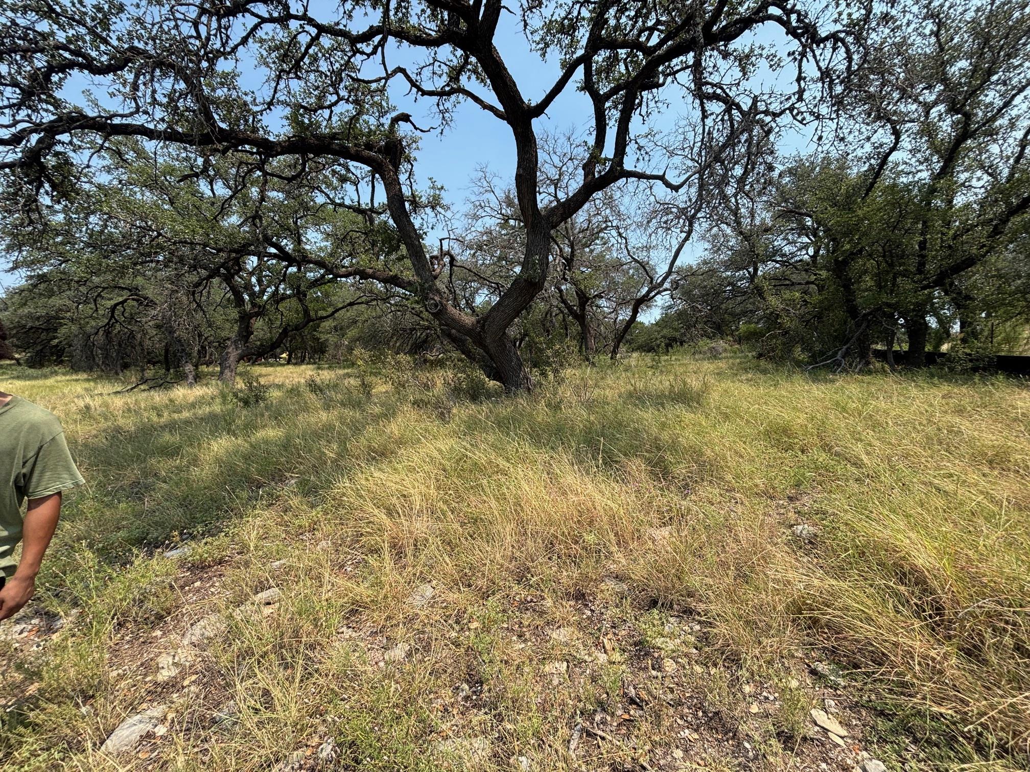 2701 Custer Cv, Leander, TX 78645