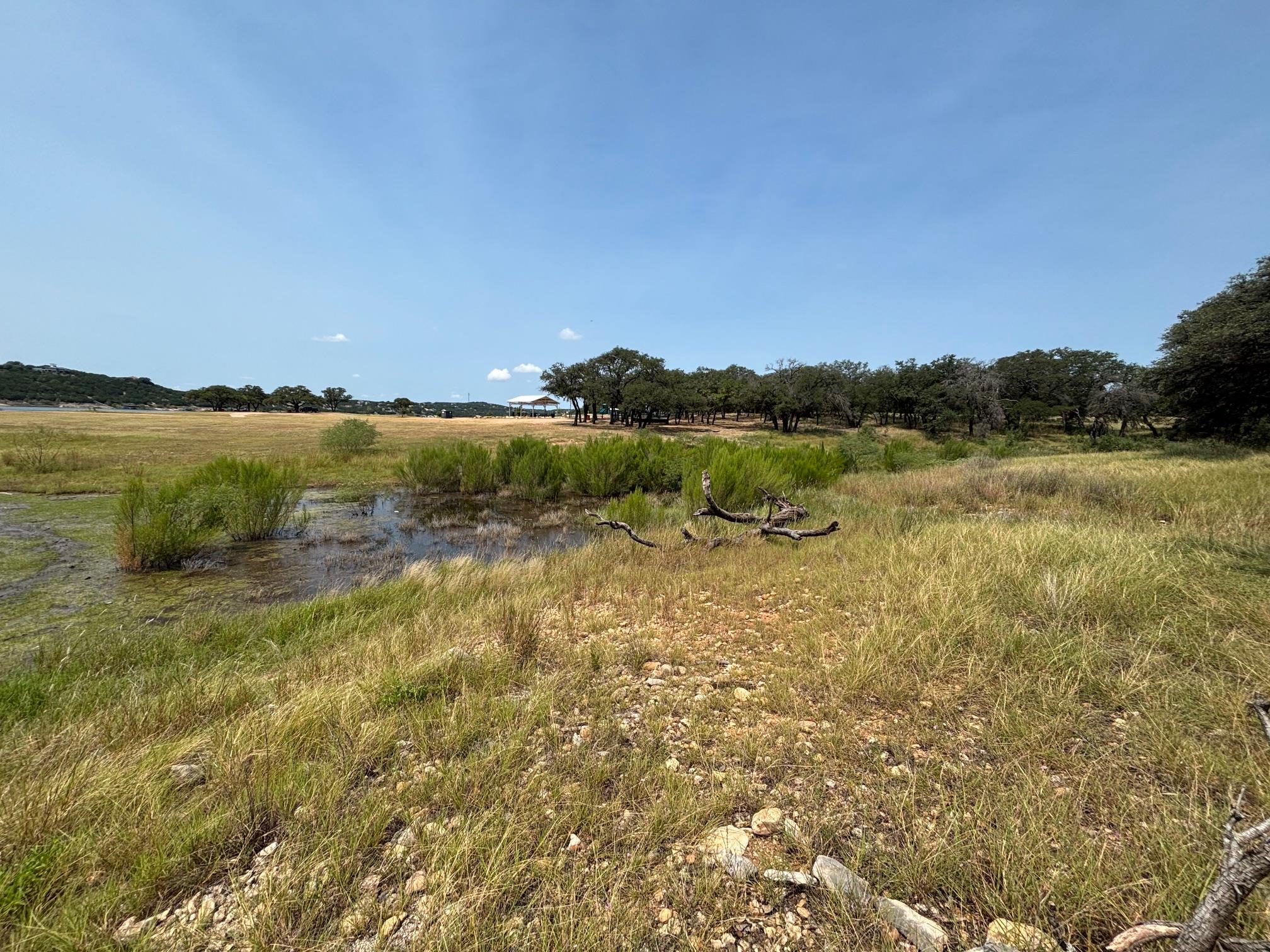 2701 Custer Cv, Leander, TX 78645