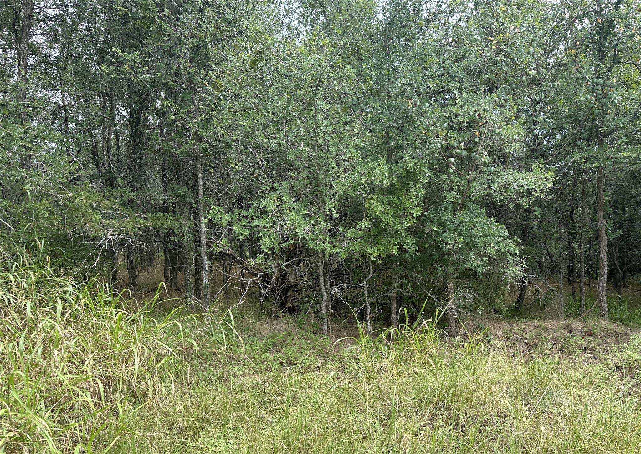 109 Halawa Ct, Bastrop, TX 78602