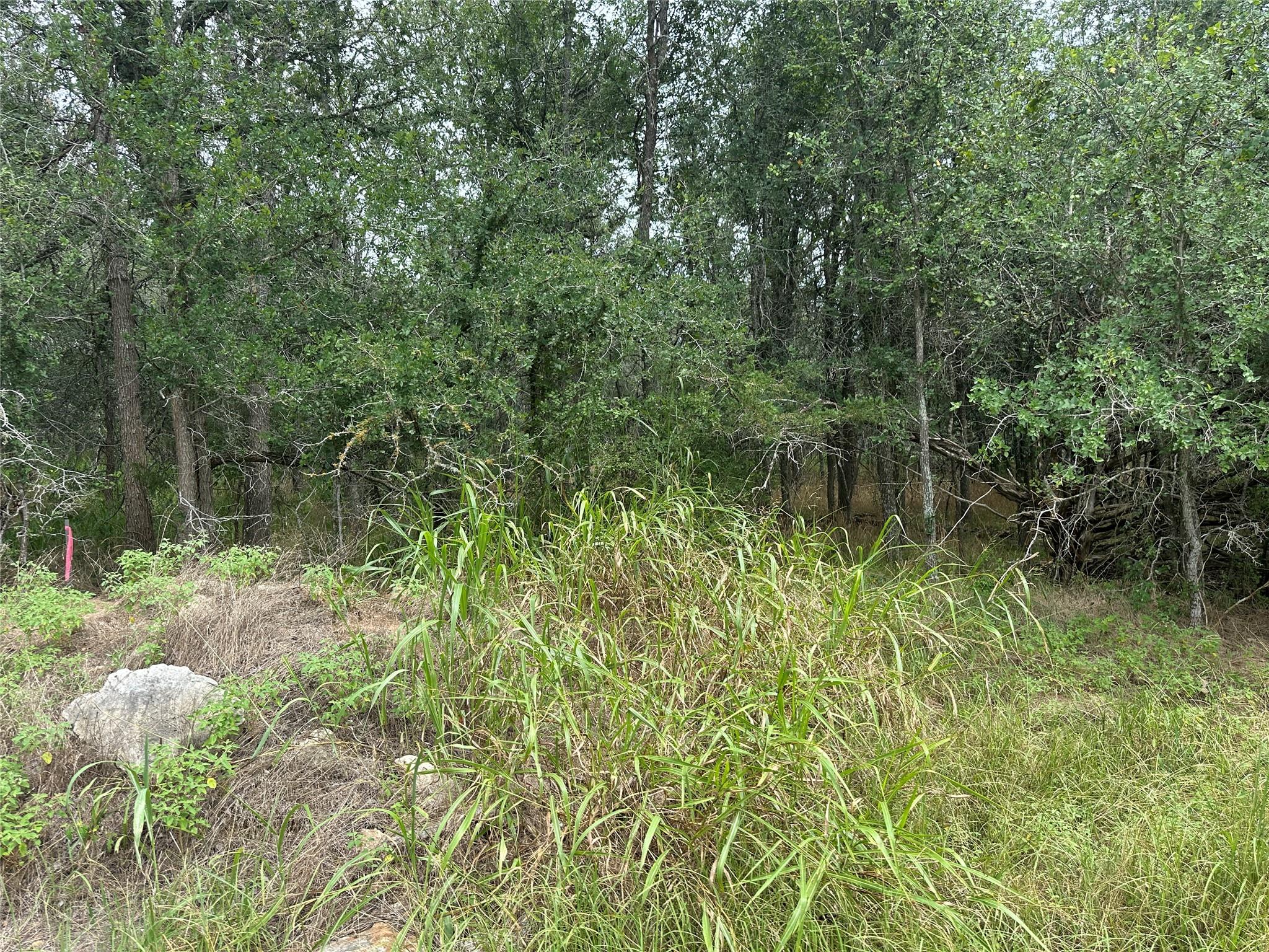 109 Halawa Ct, Bastrop, TX 78602