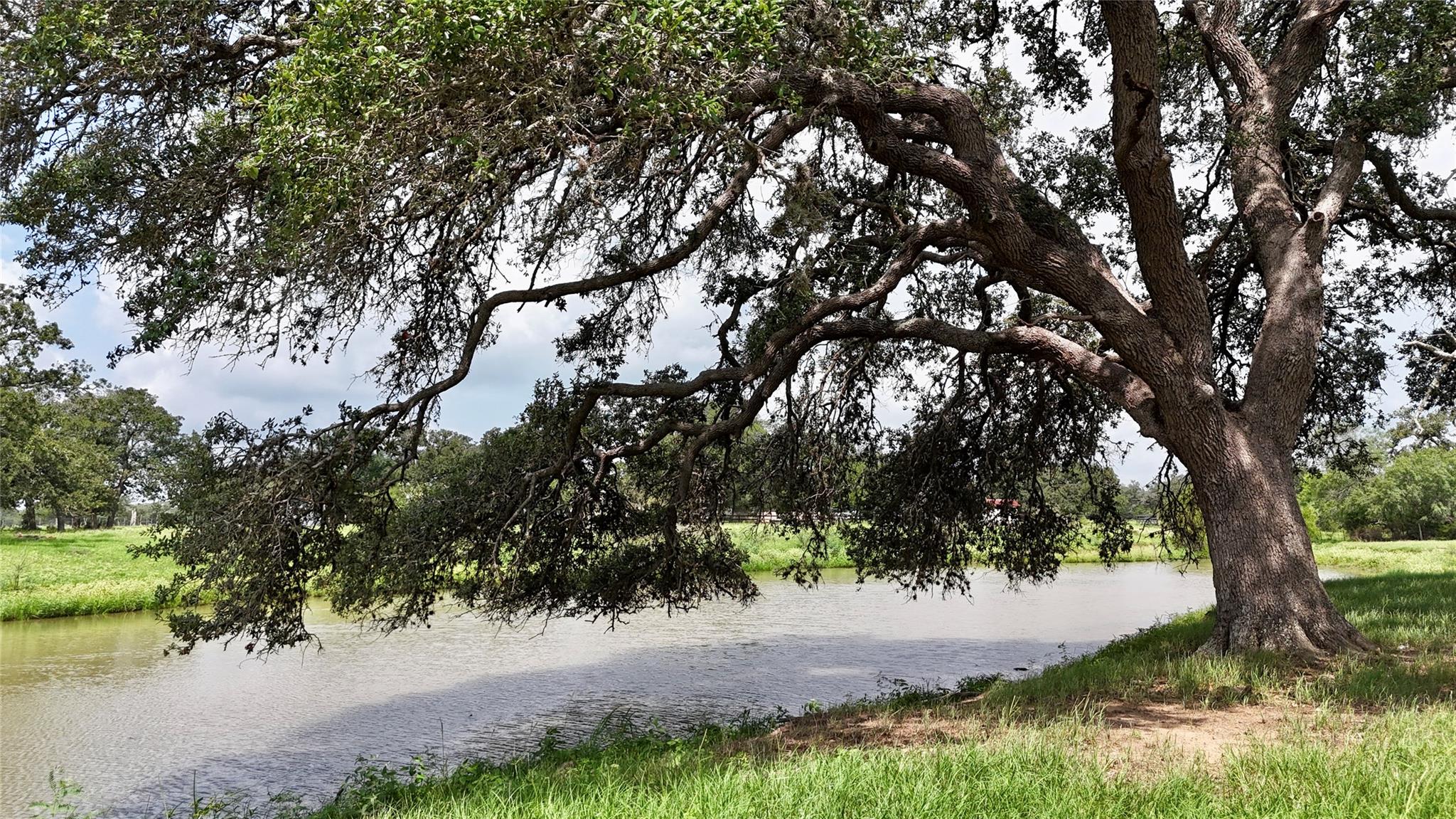 4361 US Highway 77 S, Hallettsville, TX 77964