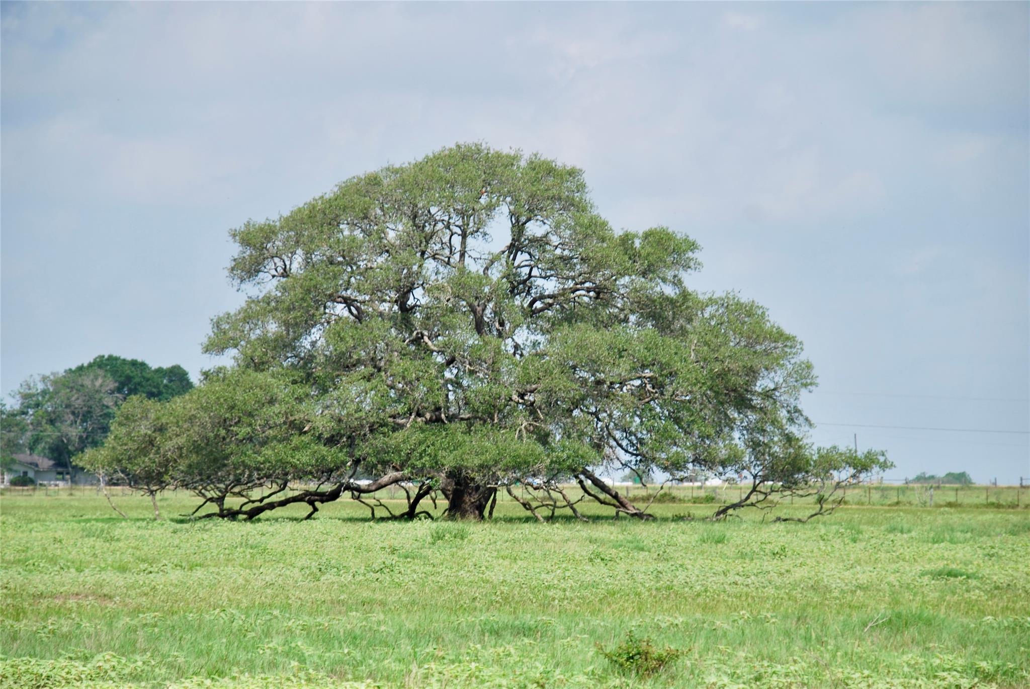 4361 US Highway 77 S, Hallettsville, TX 77964