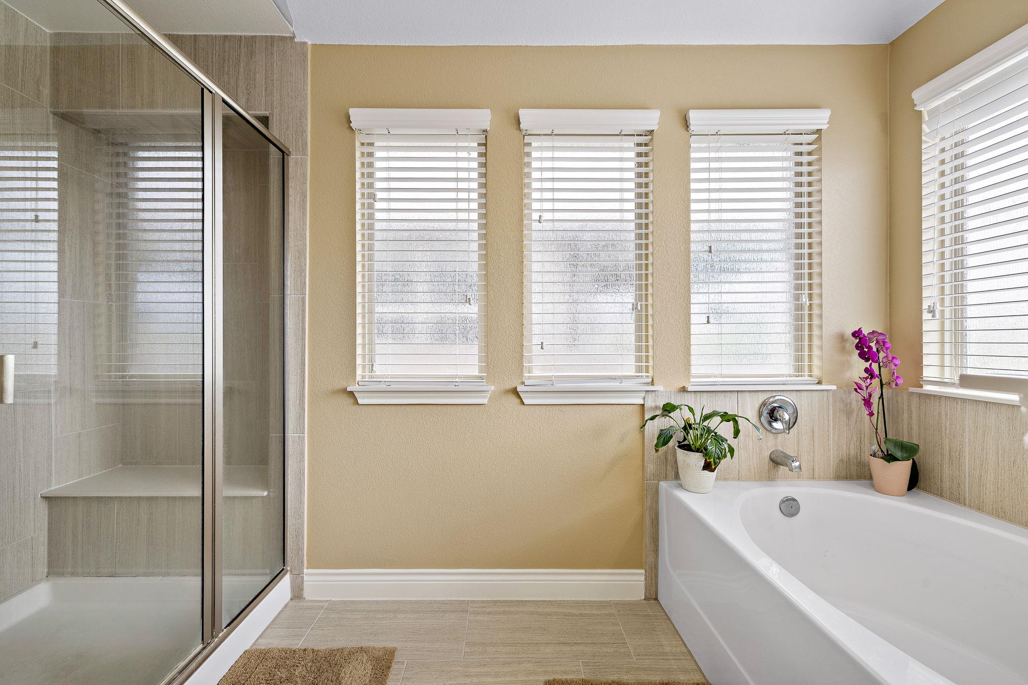 163 Mount Ellen St, Hutto, TX 78634