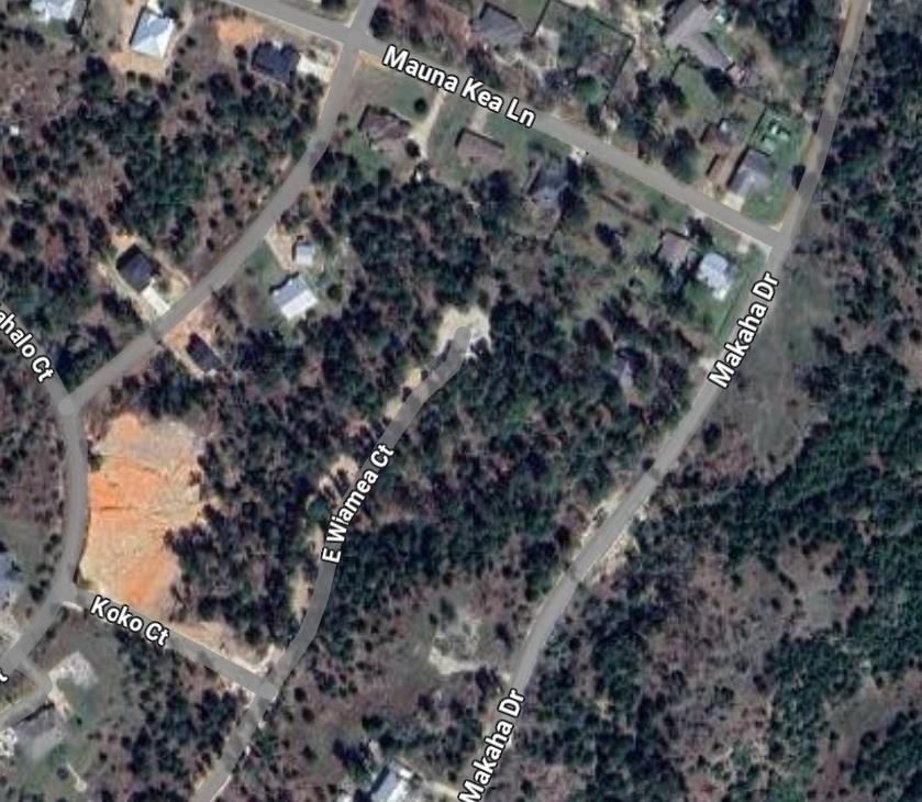 TBD E Wiamea Ct, Bastrop, TX 78602