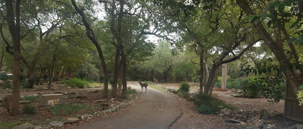 650 Sp Terry Rd, Belton, TX 76513