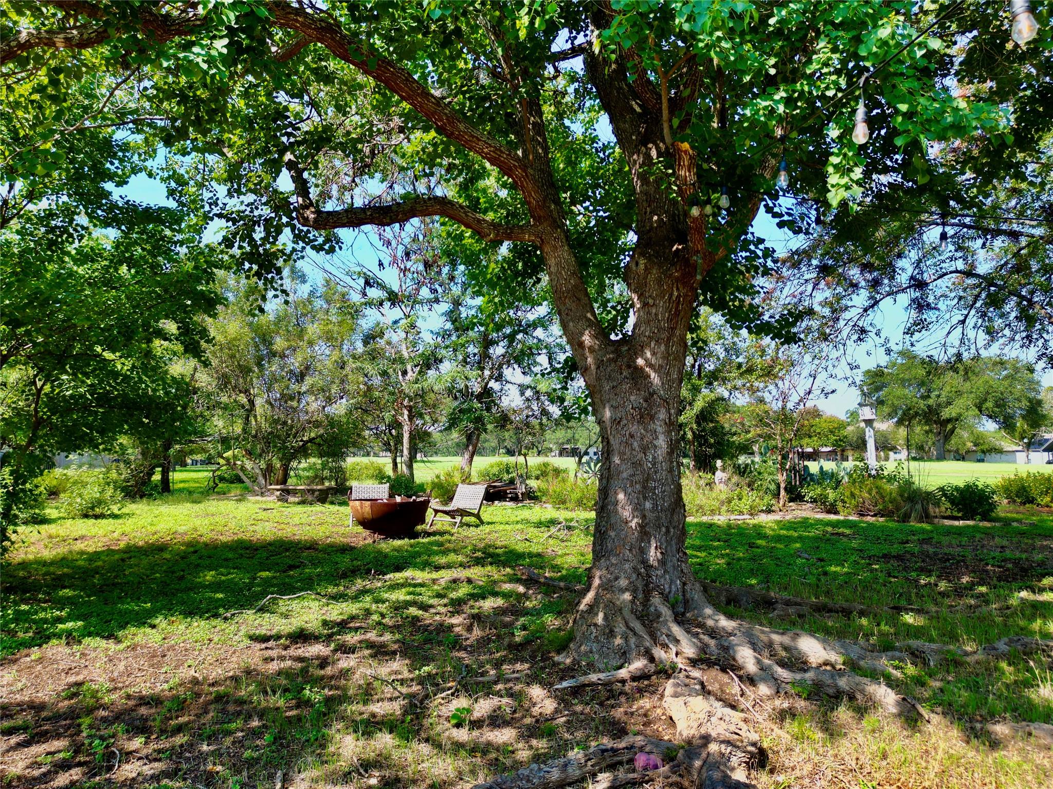 921 Vanguard St, Lakeway, TX 78734