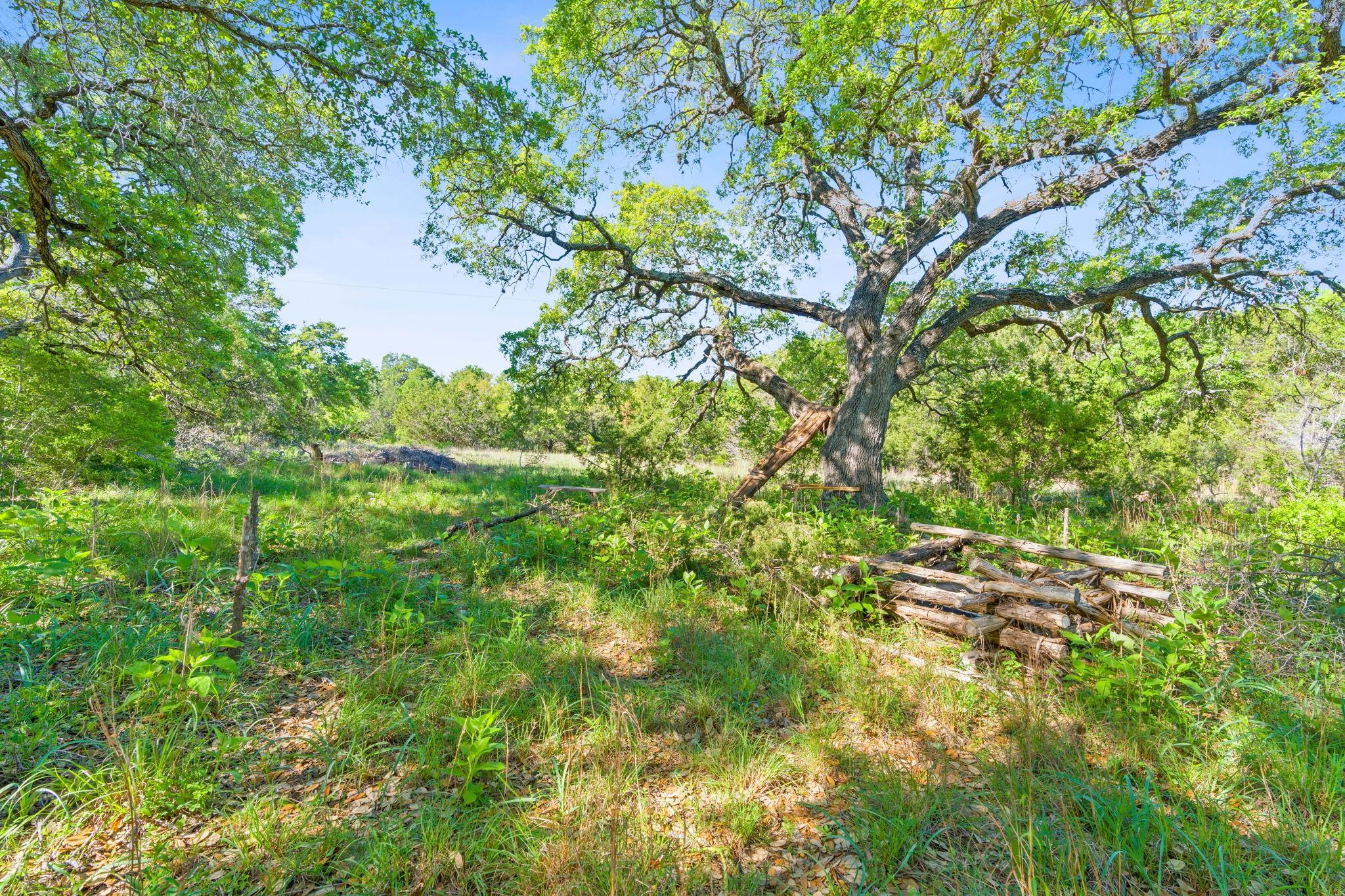 10221B David Moore, Austin, TX 78748