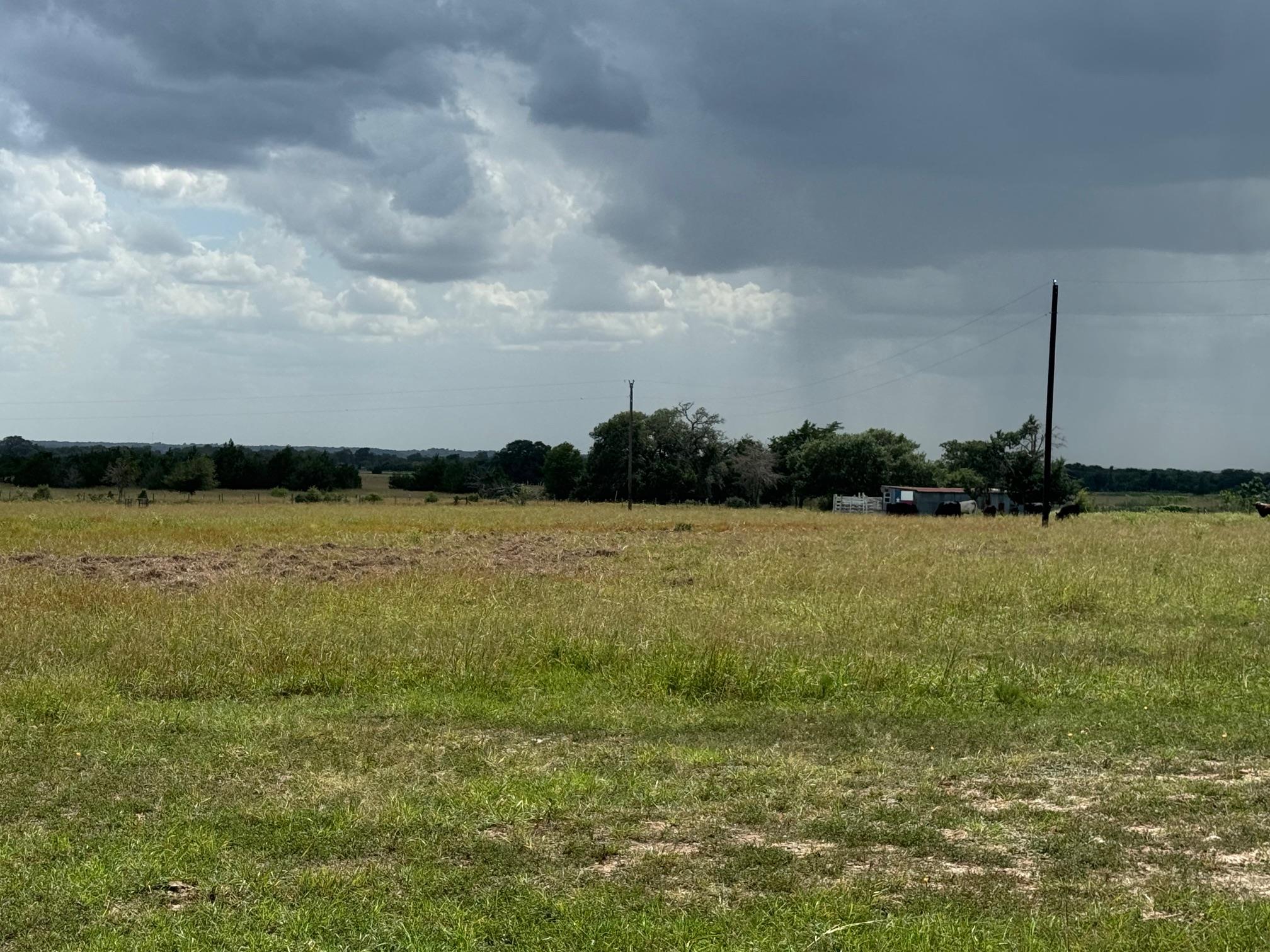 4317 Fm 955 Rd, Fayetteville, TX 78940